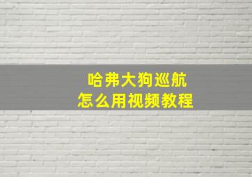 哈弗大狗巡航怎么用视频教程