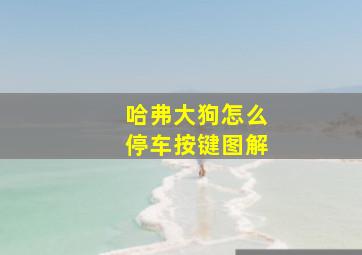 哈弗大狗怎么停车按键图解