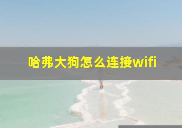 哈弗大狗怎么连接wifi