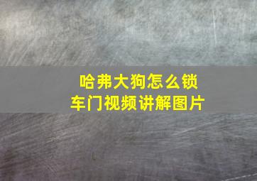 哈弗大狗怎么锁车门视频讲解图片