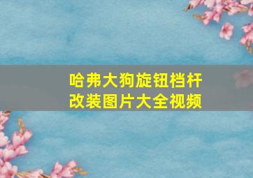 哈弗大狗旋钮档杆改装图片大全视频