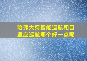 哈弗大狗智能巡航和自适应巡航哪个好一点呢