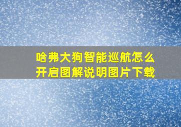 哈弗大狗智能巡航怎么开启图解说明图片下载