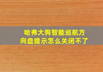 哈弗大狗智能巡航方向盘提示怎么关闭不了