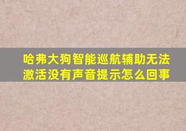 哈弗大狗智能巡航辅助无法激活没有声音提示怎么回事