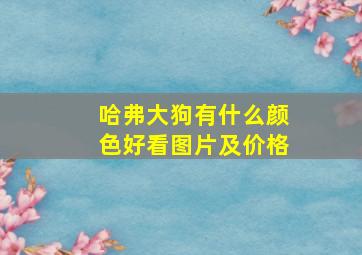 哈弗大狗有什么颜色好看图片及价格