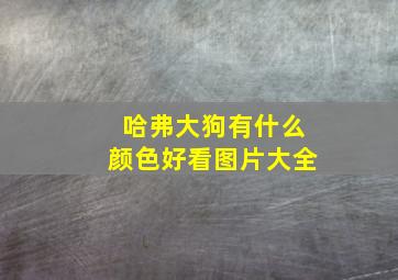 哈弗大狗有什么颜色好看图片大全