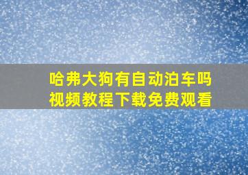 哈弗大狗有自动泊车吗视频教程下载免费观看