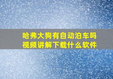 哈弗大狗有自动泊车吗视频讲解下载什么软件