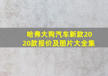 哈弗大狗汽车新款2020款报价及图片大全集