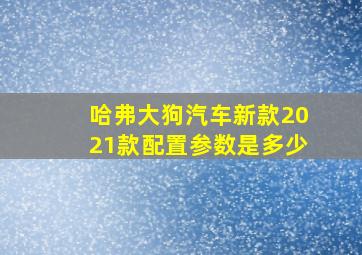 哈弗大狗汽车新款2021款配置参数是多少