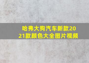 哈弗大狗汽车新款2021款颜色大全图片视频