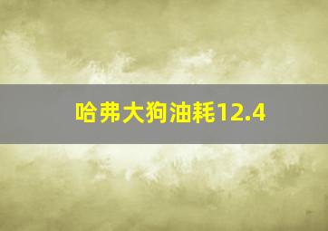 哈弗大狗油耗12.4