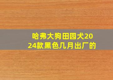 哈弗大狗田园犬2024款黑色几月出厂的