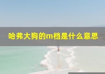 哈弗大狗的m档是什么意思