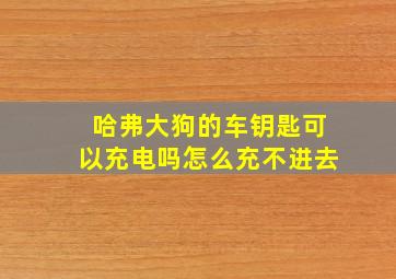 哈弗大狗的车钥匙可以充电吗怎么充不进去