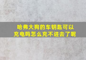 哈弗大狗的车钥匙可以充电吗怎么充不进去了呢