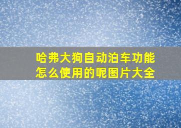 哈弗大狗自动泊车功能怎么使用的呢图片大全