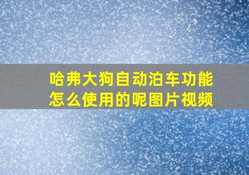 哈弗大狗自动泊车功能怎么使用的呢图片视频