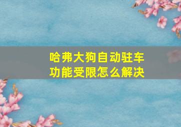 哈弗大狗自动驻车功能受限怎么解决