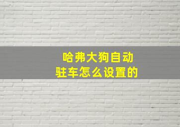 哈弗大狗自动驻车怎么设置的