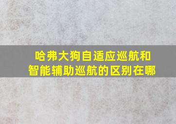 哈弗大狗自适应巡航和智能辅助巡航的区别在哪