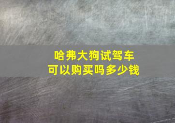 哈弗大狗试驾车可以购买吗多少钱