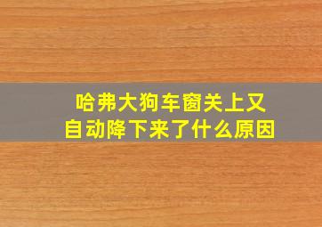 哈弗大狗车窗关上又自动降下来了什么原因