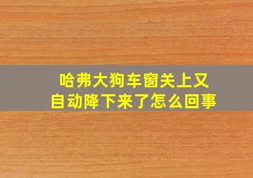 哈弗大狗车窗关上又自动降下来了怎么回事