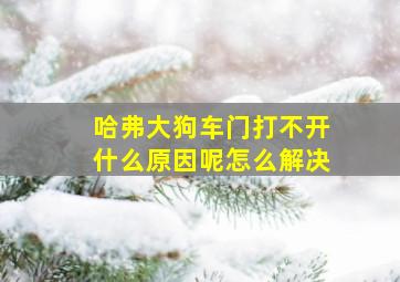 哈弗大狗车门打不开什么原因呢怎么解决