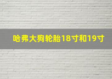 哈弗大狗轮胎18寸和19寸