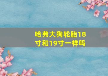 哈弗大狗轮胎18寸和19寸一样吗