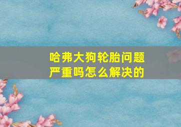 哈弗大狗轮胎问题严重吗怎么解决的