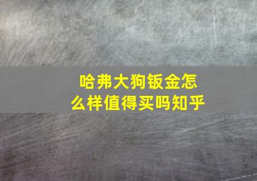 哈弗大狗钣金怎么样值得买吗知乎