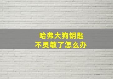 哈弗大狗钥匙不灵敏了怎么办