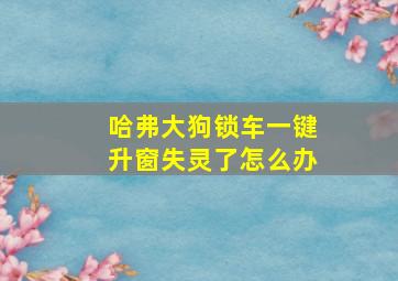 哈弗大狗锁车一键升窗失灵了怎么办