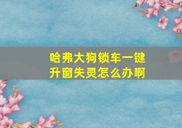 哈弗大狗锁车一键升窗失灵怎么办啊