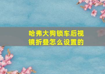 哈弗大狗锁车后视镜折叠怎么设置的