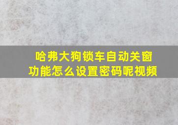 哈弗大狗锁车自动关窗功能怎么设置密码呢视频