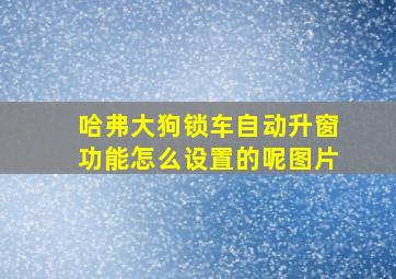 哈弗大狗锁车自动升窗功能怎么设置的呢图片