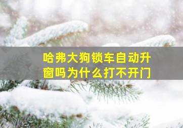 哈弗大狗锁车自动升窗吗为什么打不开门