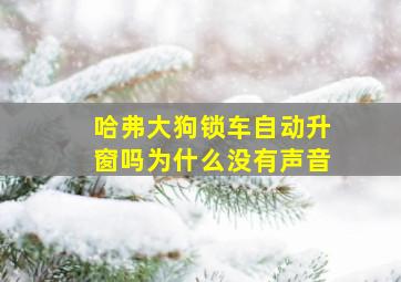 哈弗大狗锁车自动升窗吗为什么没有声音