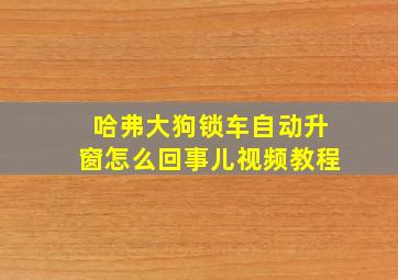 哈弗大狗锁车自动升窗怎么回事儿视频教程