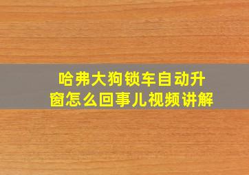 哈弗大狗锁车自动升窗怎么回事儿视频讲解