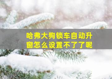 哈弗大狗锁车自动升窗怎么设置不了了呢