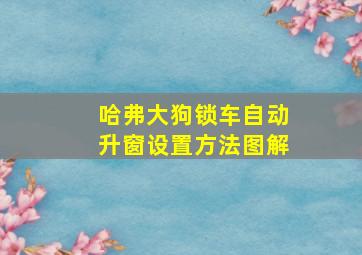 哈弗大狗锁车自动升窗设置方法图解