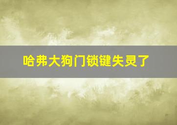 哈弗大狗门锁键失灵了