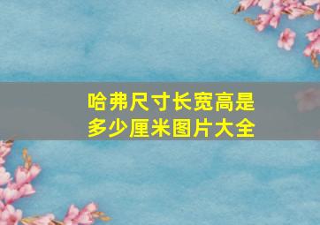 哈弗尺寸长宽高是多少厘米图片大全