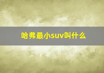 哈弗最小suv叫什么