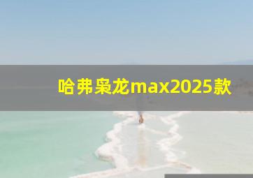 哈弗枭龙max2025款